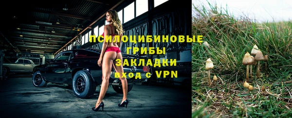 кристаллы Новозыбков